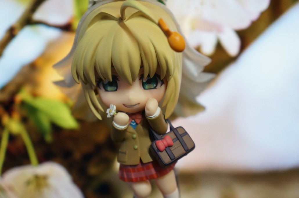 Saber Bride.10