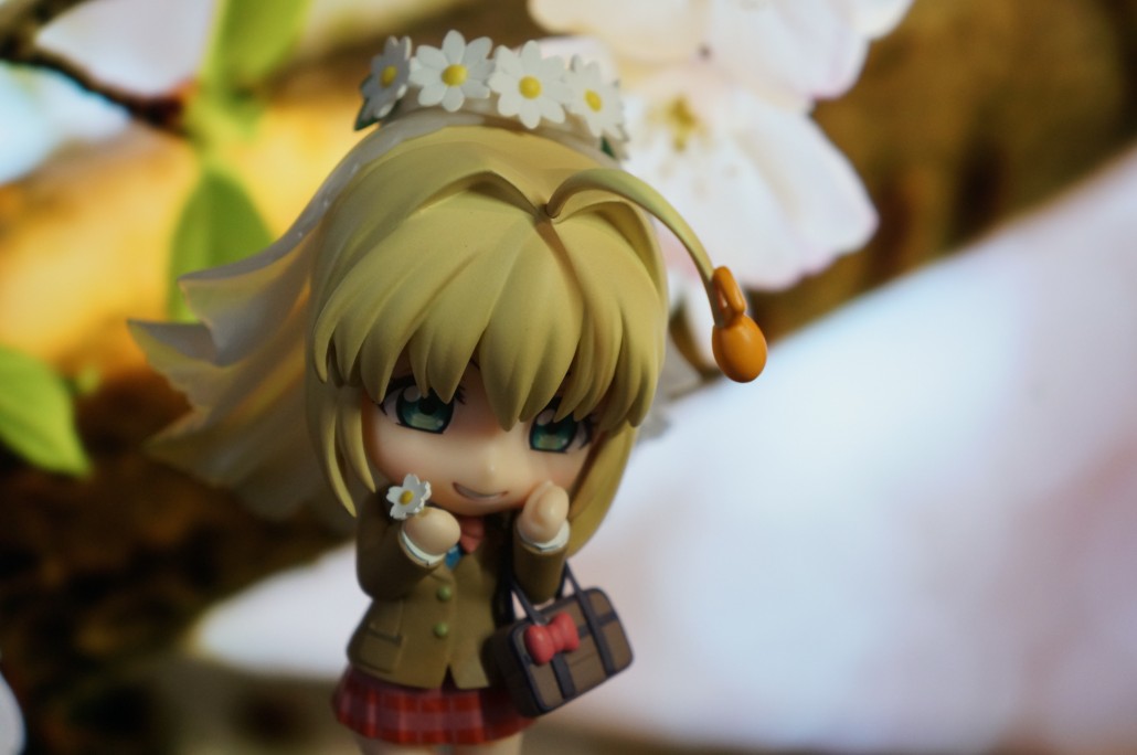 Saber Bride.11