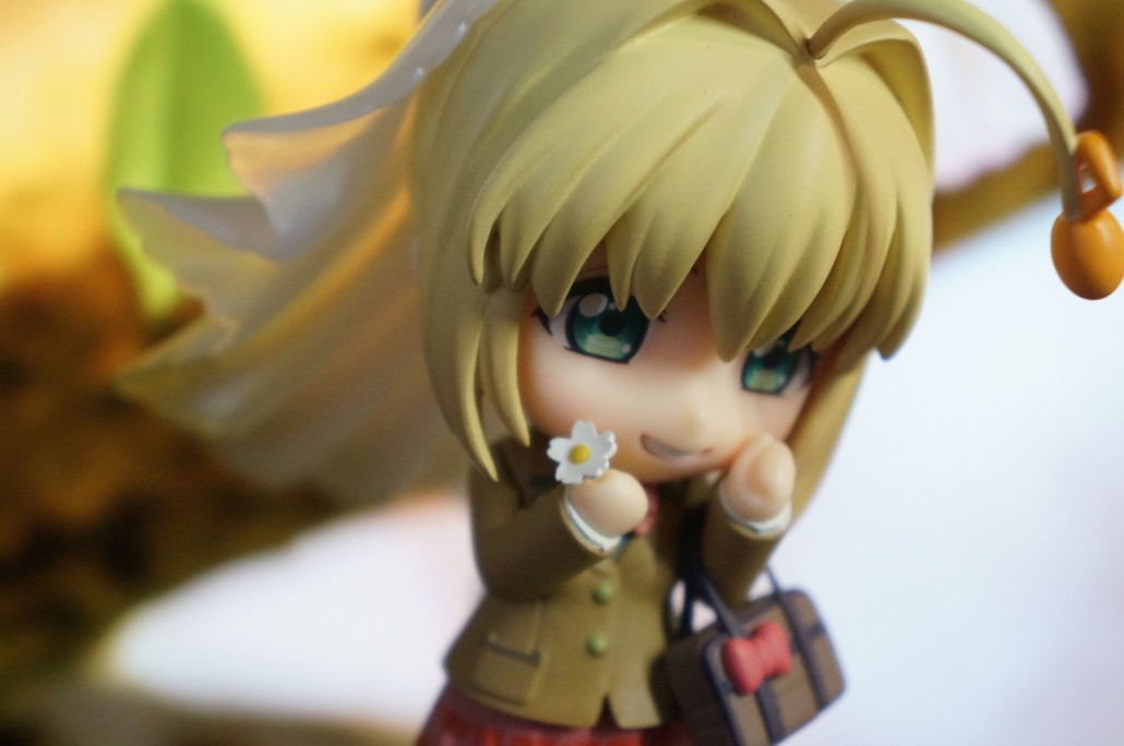 Saber Bride.14