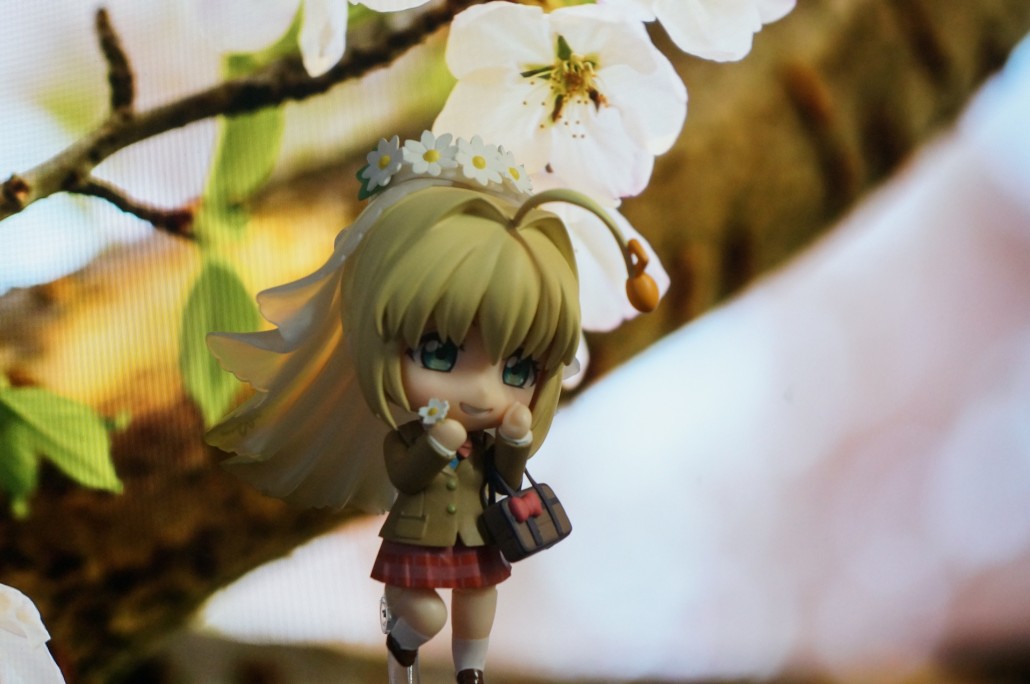 Saber Bride.2