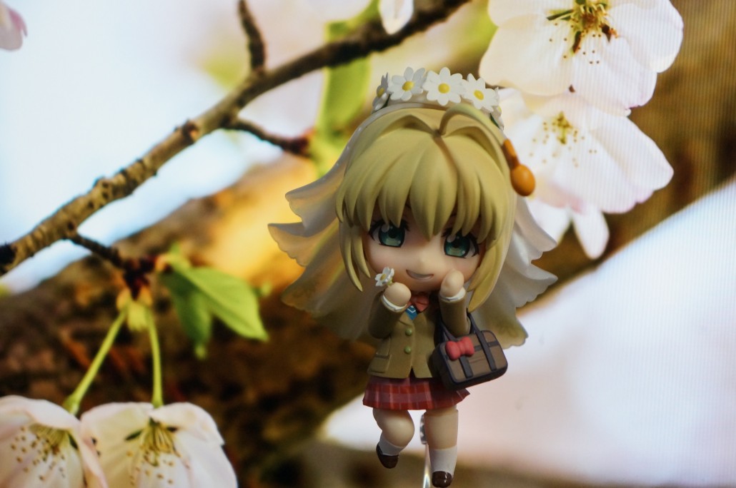 Saber Bride.3