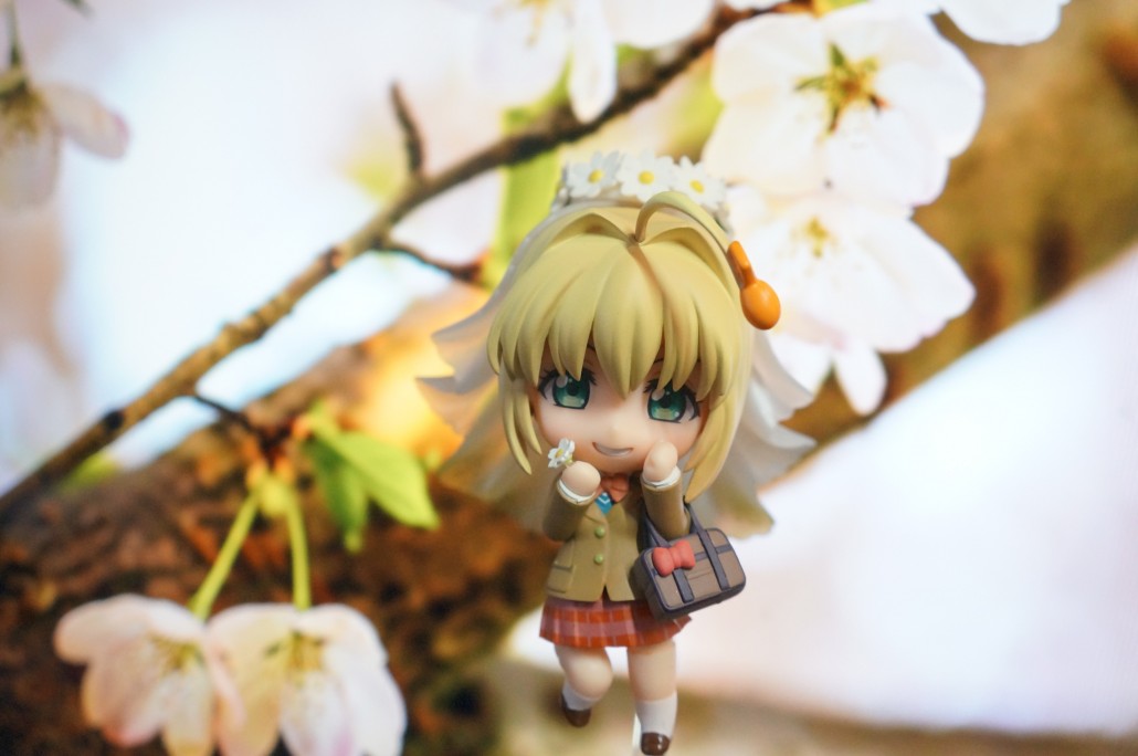 Saber Bride.4