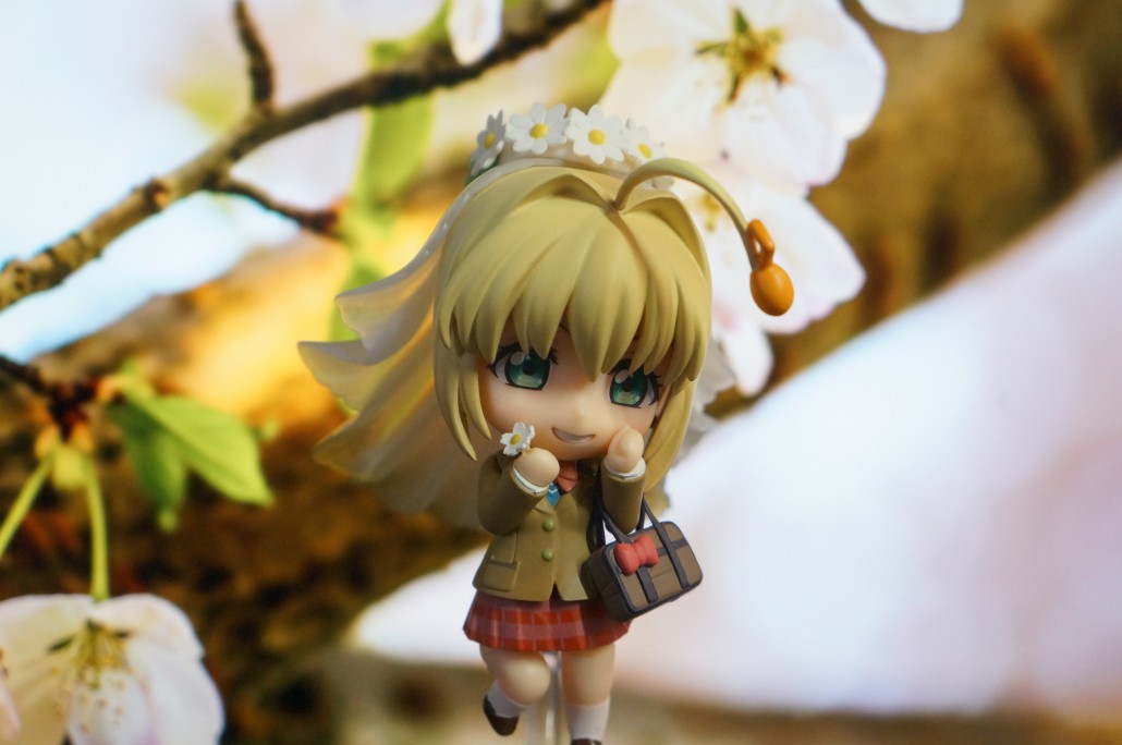 Saber Bride.6