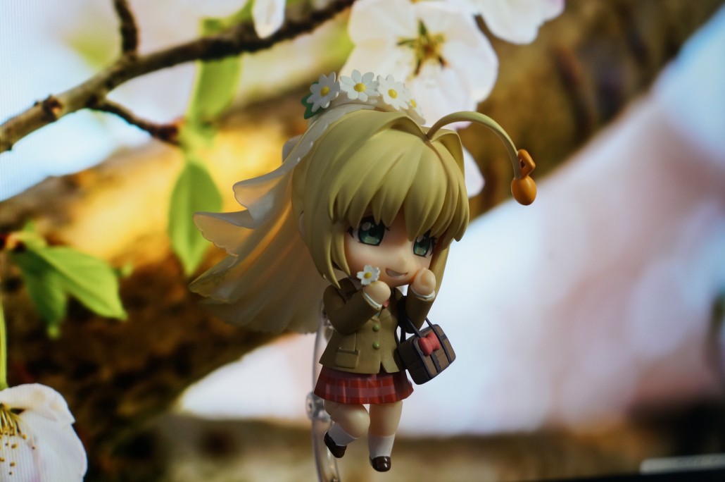 Saber Bride.7