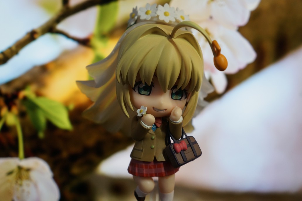 Saber Bride.8