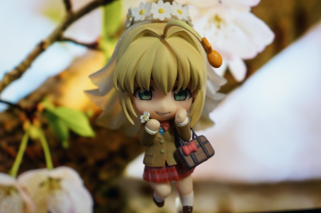 Saber Bride.9