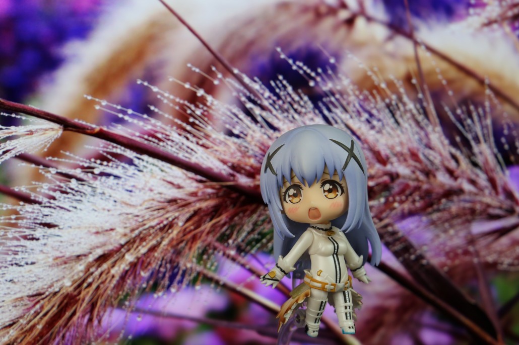 Kafuu Chino.1