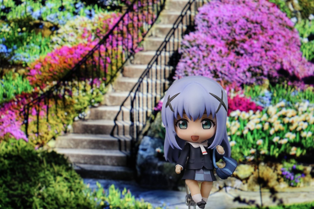 Kafuu Chino.1