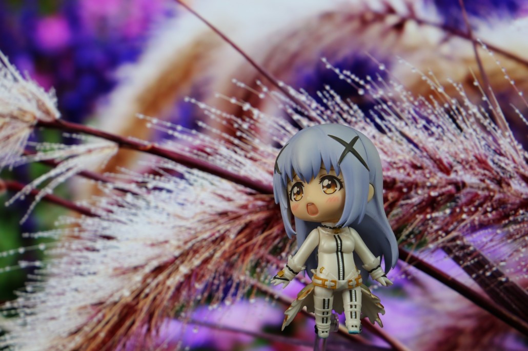 Kafuu Chino.2