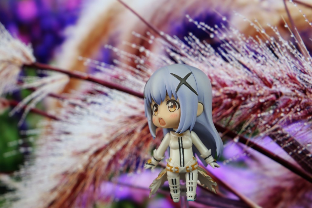 Kafuu Chino.3