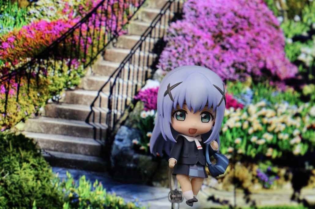Kafuu Chino.3