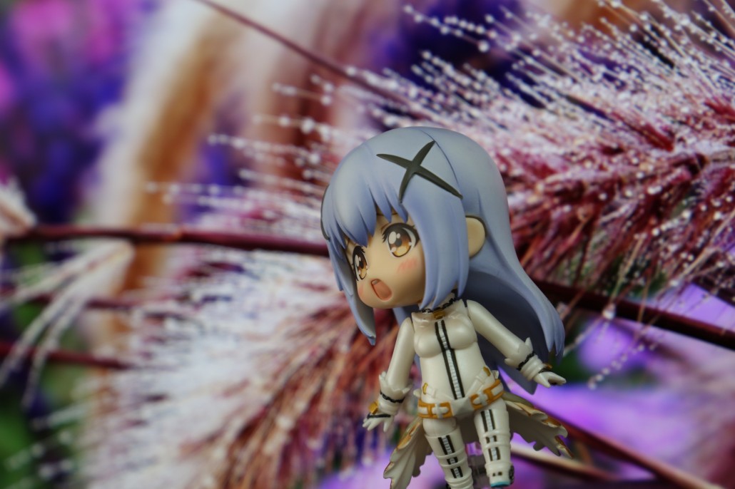 Kafuu Chino.4