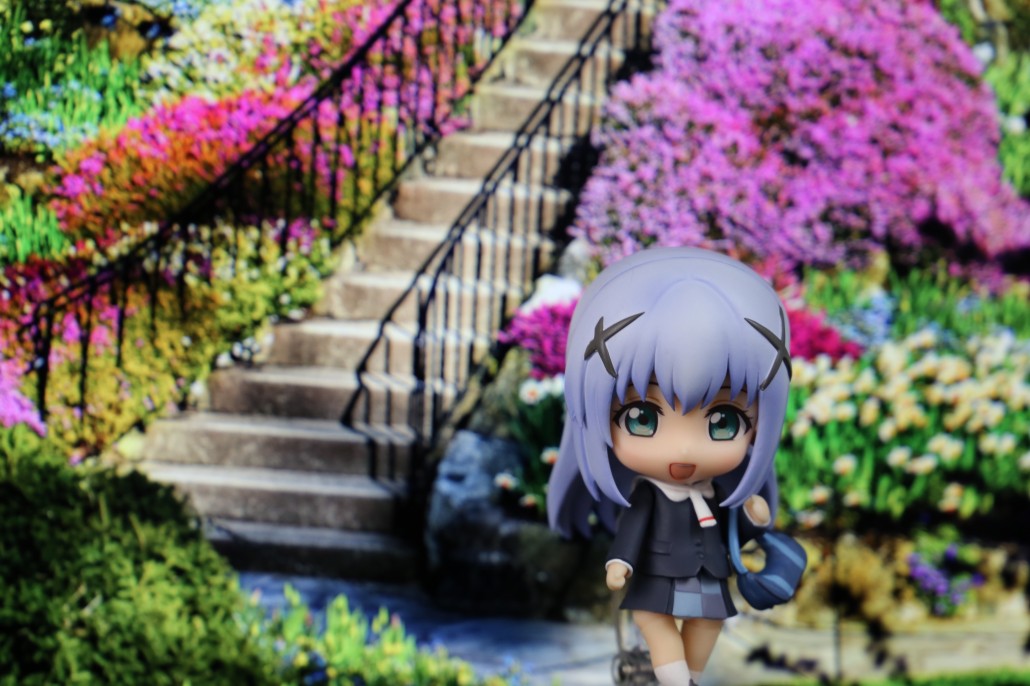 Kafuu Chino.4