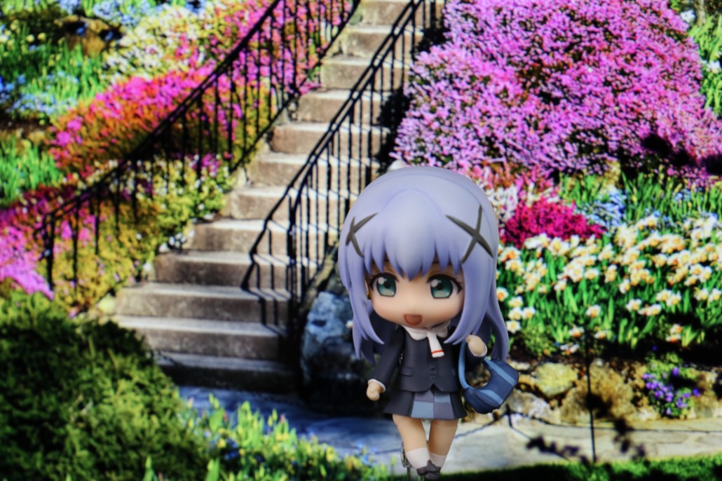 Kafuu Chino.5
