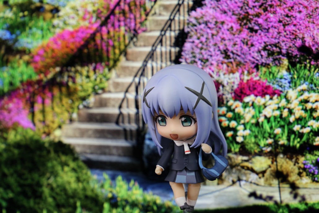 Kafuu Chino.6