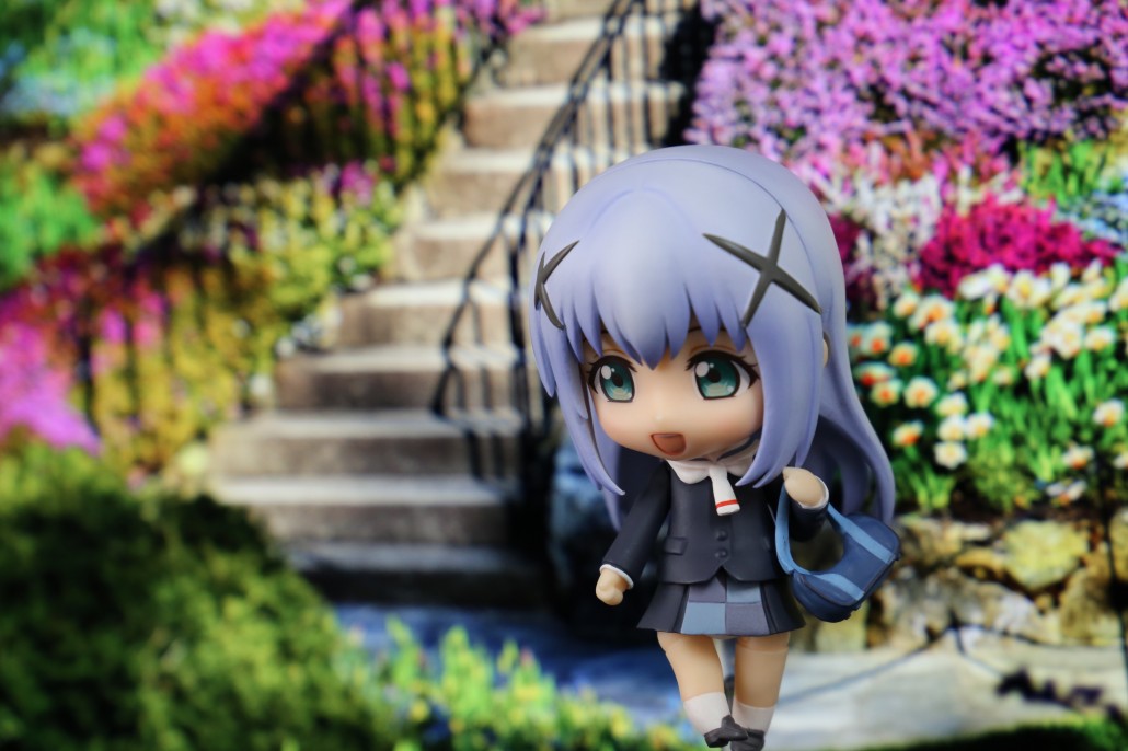 Kafuu Chino.7